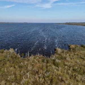 Photo #10 of SOLD property in Off US HWY 64, Columbia, NC 209.0 acres