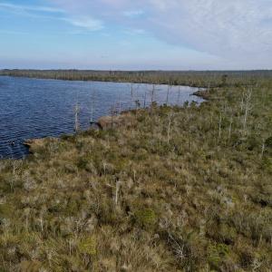 Photo #11 of SOLD property in Off US HWY 64, Columbia, NC 209.0 acres