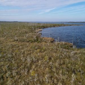 Photo #12 of SOLD property in Off US HWY 64, Columbia, NC 209.0 acres