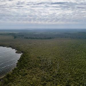 Photo #13 of SOLD property in Off US HWY 64, Columbia, NC 209.0 acres