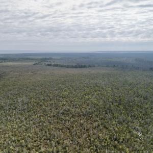 Photo #14 of SOLD property in Off US HWY 64, Columbia, NC 209.0 acres