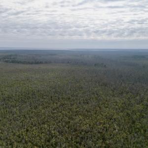 Photo #15 of SOLD property in Off US HWY 64, Columbia, NC 209.0 acres