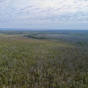 Photo #16 of SOLD property in Off US HWY 64, Columbia, NC 209.0 acres