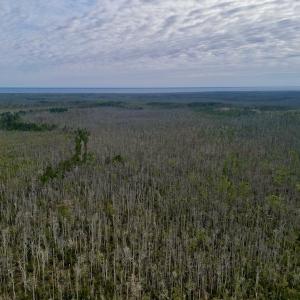 Photo #17 of SOLD property in Off US HWY 64, Columbia, NC 209.0 acres