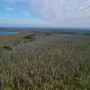 Photo #18 of SOLD property in Off US HWY 64, Columbia, NC 209.0 acres