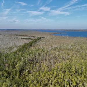 Photo #3 of SOLD property in Off US HWY 64, Columbia, NC 209.0 acres