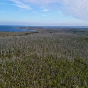 Photo #19 of SOLD property in Off US HWY 64, Columbia, NC 209.0 acres