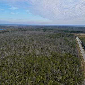Photo #20 of SOLD property in Off US HWY 64, Columbia, NC 209.0 acres