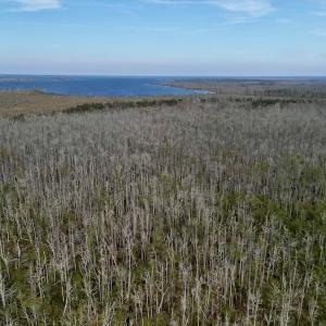 Photo #21 of SOLD property in Off US HWY 64, Columbia, NC 209.0 acres