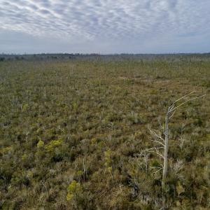 Photo #22 of SOLD property in Off US HWY 64, Columbia, NC 209.0 acres