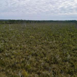 Photo #24 of SOLD property in Off US HWY 64, Columbia, NC 209.0 acres