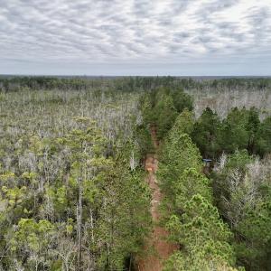 Photo #25 of SOLD property in Off US HWY 64, Columbia, NC 209.0 acres