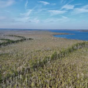 Photo #4 of SOLD property in Off US HWY 64, Columbia, NC 209.0 acres