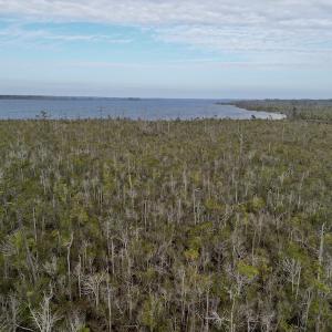 Photo #27 of SOLD property in Off US HWY 64, Columbia, NC 209.0 acres