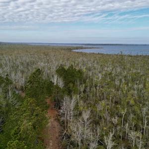 Photo #28 of SOLD property in Off US HWY 64, Columbia, NC 209.0 acres
