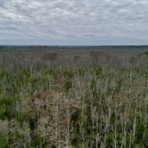 Photo #30 of SOLD property in Off US HWY 64, Columbia, NC 209.0 acres