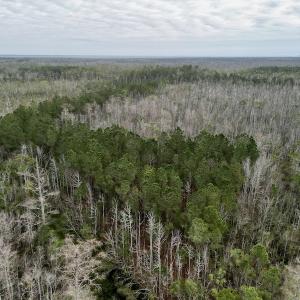 Photo #31 of SOLD property in Off US HWY 64, Columbia, NC 209.0 acres