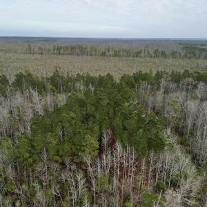 Photo #32 of SOLD property in Off US HWY 64, Columbia, NC 209.0 acres