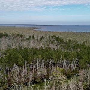 Photo #34 of SOLD property in Off US HWY 64, Columbia, NC 209.0 acres