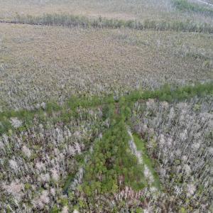 Photo #35 of SOLD property in Off US HWY 64, Columbia, NC 209.0 acres