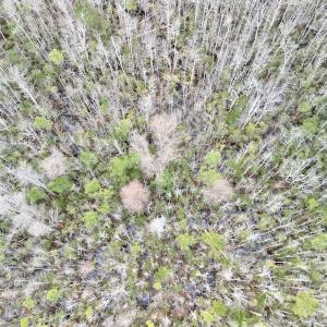 Photo #41 of SOLD property in Off US HWY 64, Columbia, NC 209.0 acres