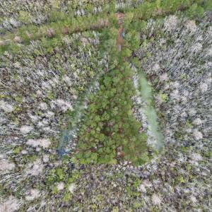 Photo #44 of SOLD property in Off US HWY 64, Columbia, NC 209.0 acres