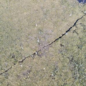 Photo #45 of SOLD property in Off US HWY 64, Columbia, NC 209.0 acres