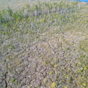 Photo #5 of SOLD property in Off US HWY 64, Columbia, NC 209.0 acres