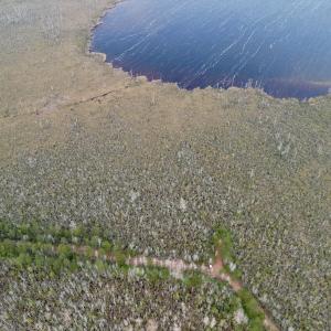 Photo #47 of SOLD property in Off US HWY 64, Columbia, NC 209.0 acres