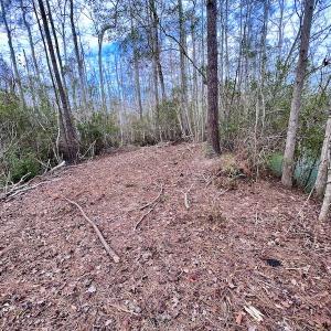 Photo #49 of SOLD property in Off US HWY 64, Columbia, NC 209.0 acres