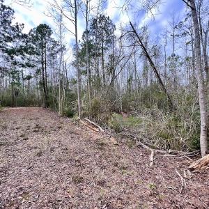 Photo #50 of SOLD property in Off US HWY 64, Columbia, NC 209.0 acres