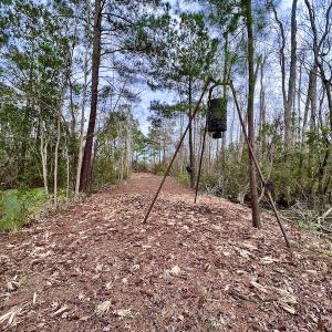 Photo #52 of SOLD property in Off US HWY 64, Columbia, NC 209.0 acres