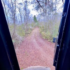 Photo #54 of SOLD property in Off US HWY 64, Columbia, NC 209.0 acres