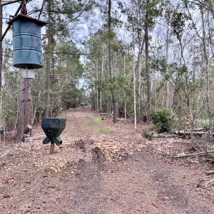 Photo #56 of SOLD property in Off US HWY 64, Columbia, NC 209.0 acres
