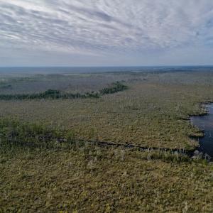 Photo #6 of SOLD property in Off US HWY 64, Columbia, NC 209.0 acres