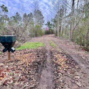 Photo #59 of SOLD property in Off US HWY 64, Columbia, NC 209.0 acres