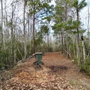 Photo #62 of SOLD property in Off US HWY 64, Columbia, NC 209.0 acres