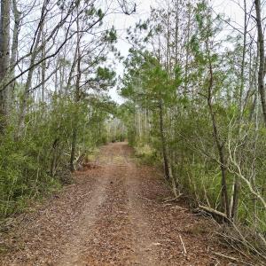 Photo #63 of SOLD property in Off US HWY 64, Columbia, NC 209.0 acres