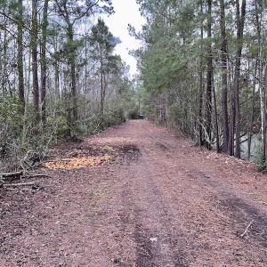 Photo #64 of SOLD property in Off US HWY 64, Columbia, NC 209.0 acres