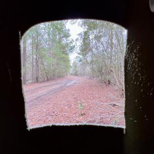 Photo #66 of SOLD property in Off US HWY 64, Columbia, NC 209.0 acres