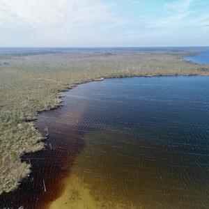 Photo #7 of SOLD property in Off US HWY 64, Columbia, NC 209.0 acres