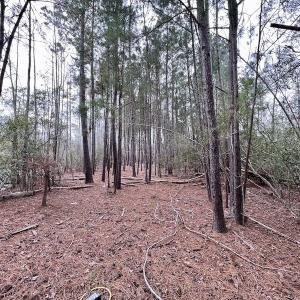 Photo #67 of SOLD property in Off US HWY 64, Columbia, NC 209.0 acres