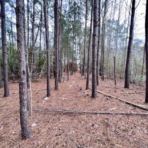 Photo #71 of SOLD property in Off US HWY 64, Columbia, NC 209.0 acres
