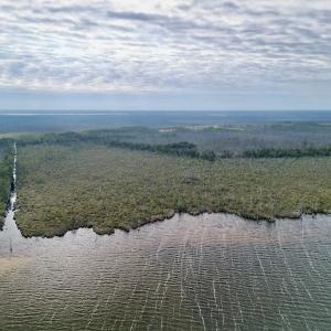 Photo #8 of SOLD property in Off US HWY 64, Columbia, NC 209.0 acres