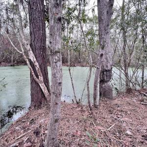 Photo #77 of SOLD property in Off US HWY 64, Columbia, NC 209.0 acres