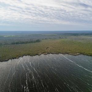 Photo #9 of SOLD property in Off US HWY 64, Columbia, NC 209.0 acres