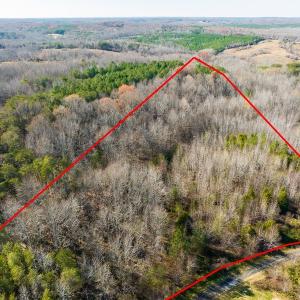 Photo #2 of SOLD property in Off Loundermon's Way, Pelham, NC 10.2 acres