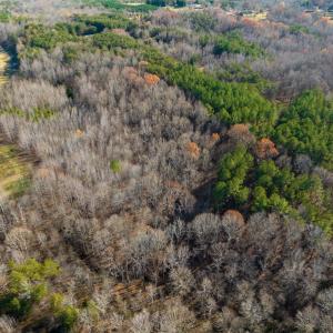 Photo #24 of SOLD property in Off Loundermon's Way, Pelham, NC 10.2 acres