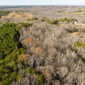 Photo #25 of SOLD property in Off Loundermon's Way, Pelham, NC 10.2 acres
