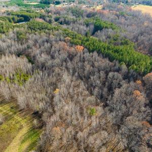 Photo #26 of SOLD property in Off Loundermon's Way, Pelham, NC 10.2 acres